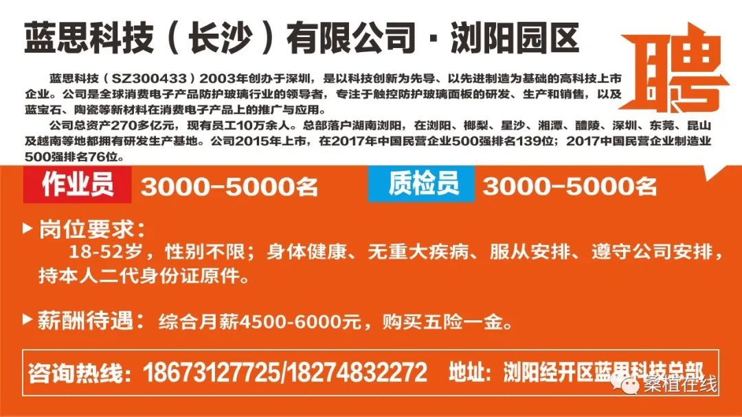 桑植招聘_桑植融和置业重金诚聘财务总监 招商等专业人员(3)