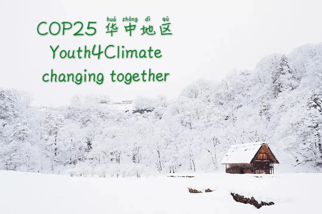 半岛体育app华中地区团队风采 COP25 Youth4Climate志愿者团队(图1)