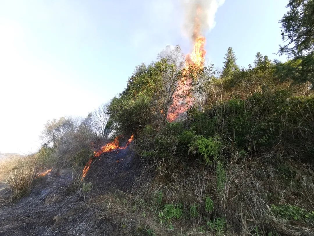 被烧山场