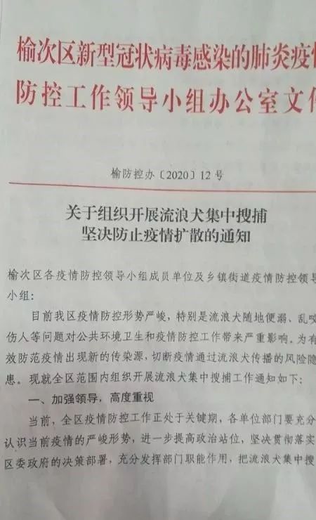 榆次:开始搜捕流浪犬!防止疫情扩散【附:红头文件】