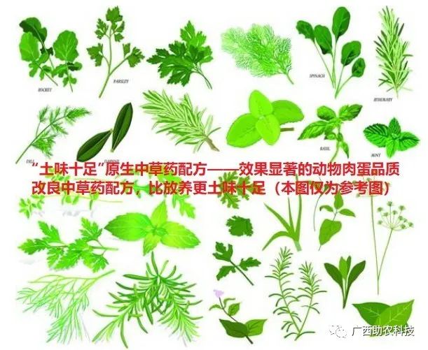 中草药作为饲料添加剂运用在养殖业中的原理和效果作用 