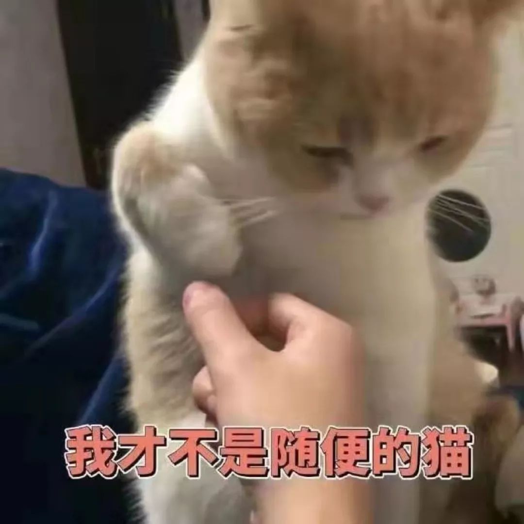 表情包〕我好菜