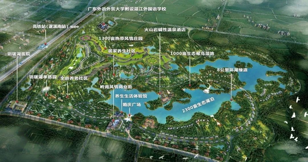 遂溪有多少人口_遂溪孔子庙图片(3)