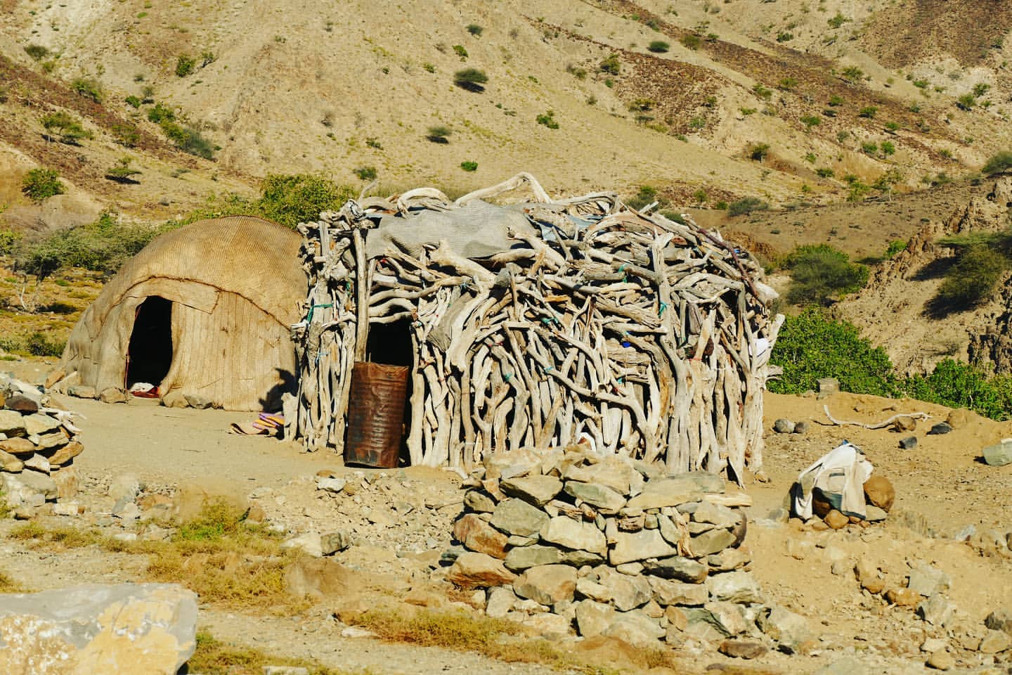 世界上最热的人口居住地_世界上最丑的人