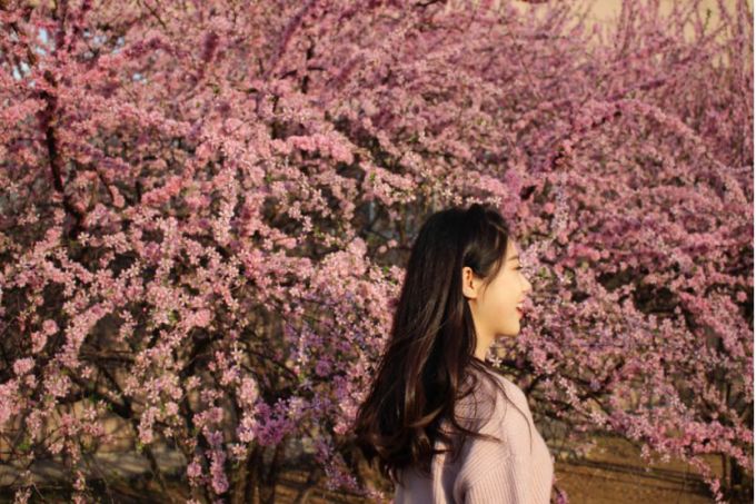 甚是想念的你 2536e11df7094384babde1f7ba2a3088.jpeg