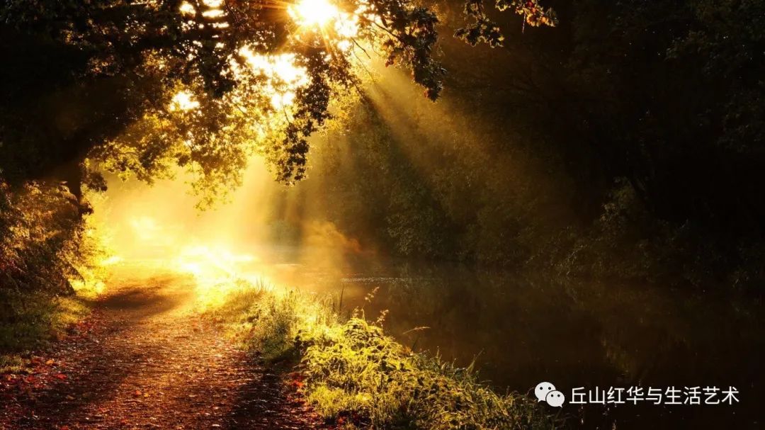 梦回黎明，天黑过后的太阳——探索内心深处的希望与重生