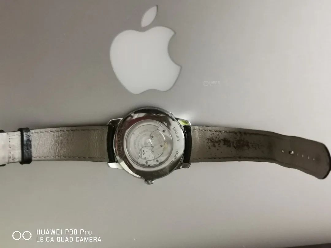 ������ʿ������֥��1966ϵ�����