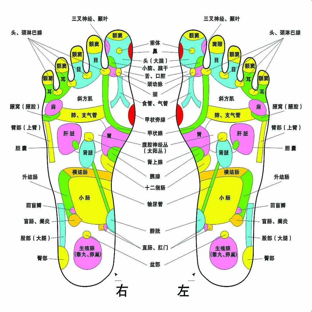 10 个动作帮你灵活双脚,强健根基_脚掌