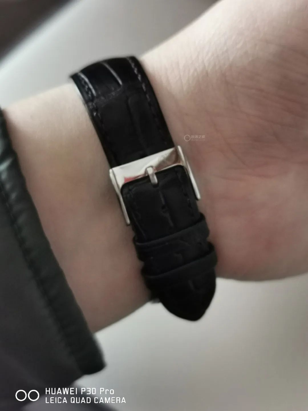 ������ʿ������֥��1966ϵ�����