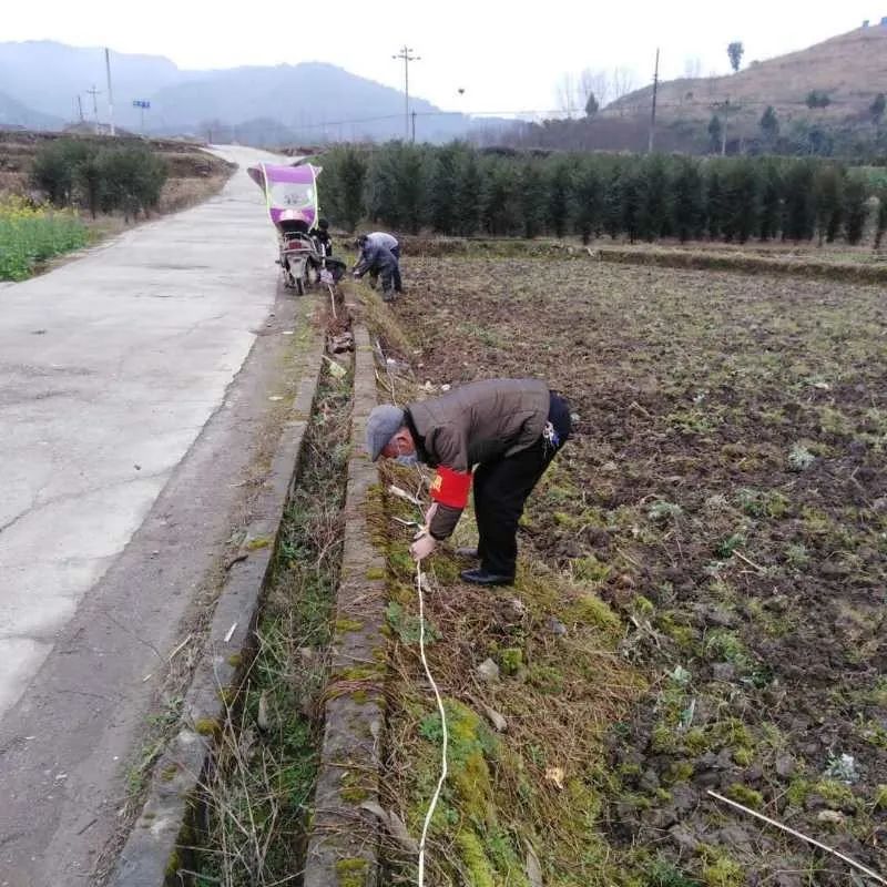 绥阳郑场人口_人口普查(2)