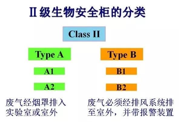 什么是生物安全学 55e4ebc7adbd47b9adb3f60cf3925302.jpeg