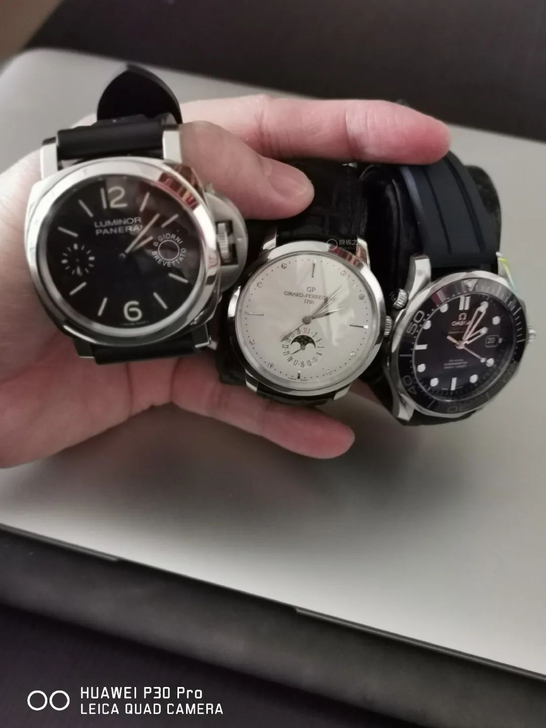 ������ʿ������֥��1966ϵ�����