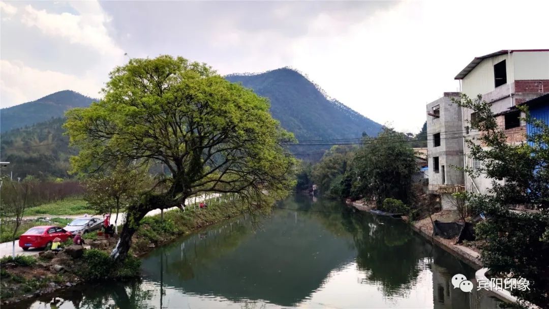 龙德村地处我县武陵镇桃源水库脚下,山青水秀,风景优美.