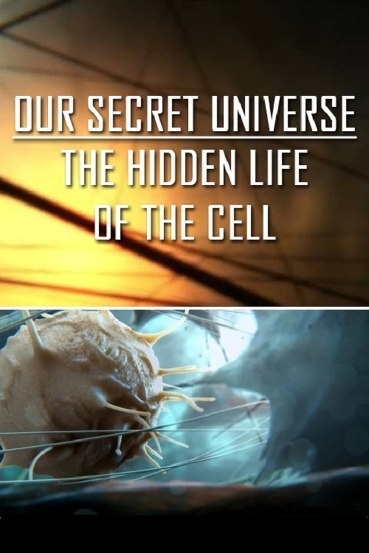 the hidden life of the cell