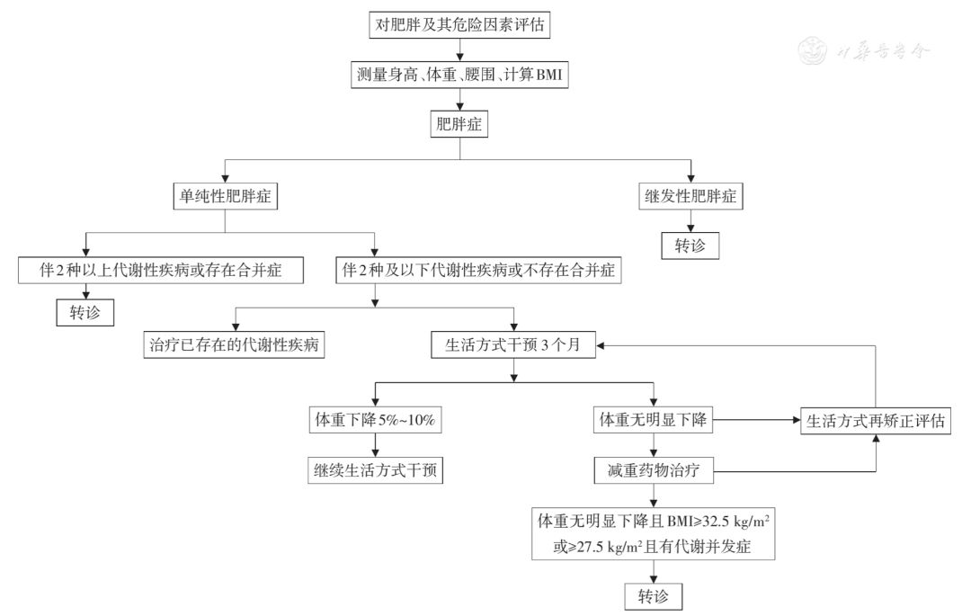 基层常见疾病诊疗指南肥胖症基层诊疗指南2019年