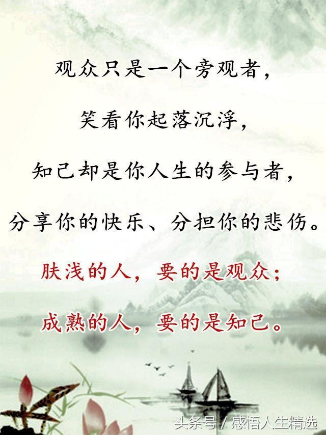 枯萎的菊花猜成语_枯萎的菊花(2)