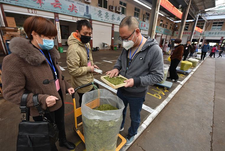 一天卖了264万元9184斤松阳浙南茶叶市场今天开市了