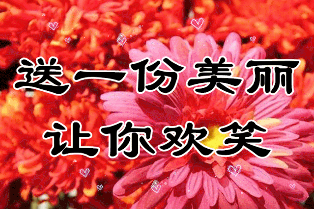 龙马精神 二月二龙抬头 最美的祝福提前送给你 祝你 心想事成,万事
