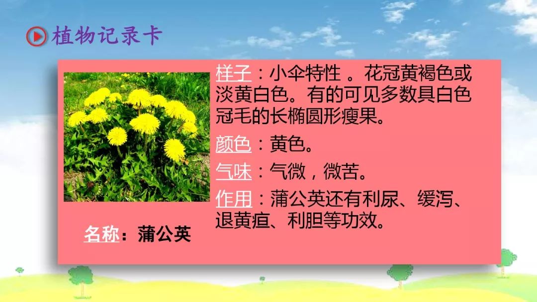 【作文】三下习作一《我的植物朋友》(写作指导 视频教学)