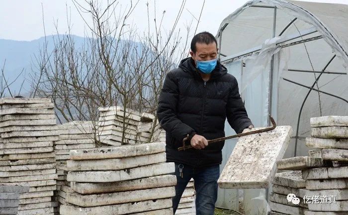 平模村人口_人口普查图片