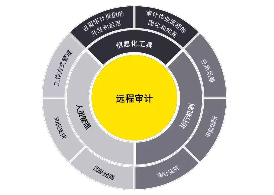 企业内审部门开展远程审计,需要从远程审计的运行机制,信息化工具应用