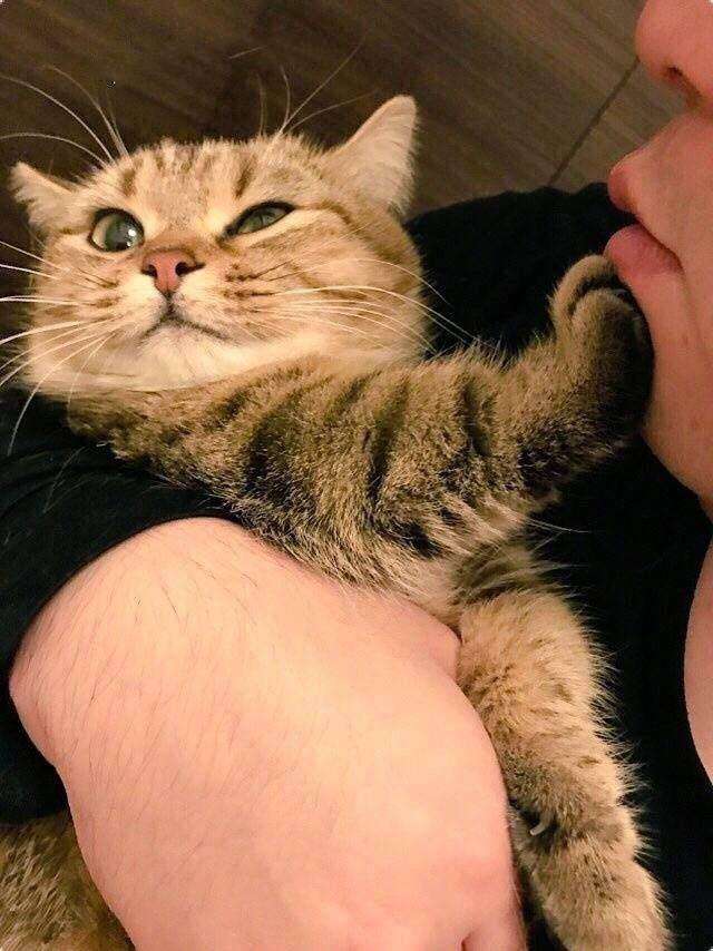 爱着一个不爱你的人,是否还要继续?