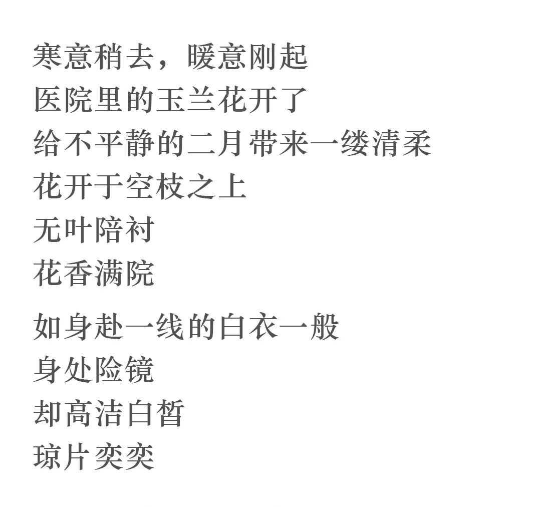 b6a25f4735414f1186ac2a5c8ac7f693.jpeg