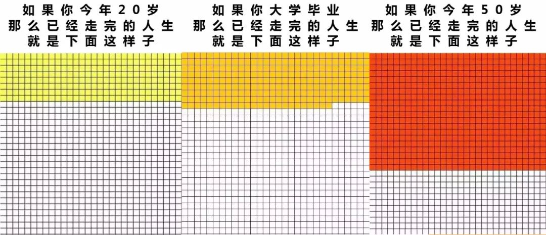 我从未如此的珍视过自己的生命