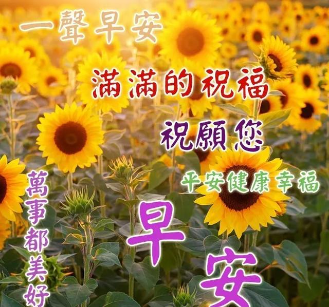 c6569a91a38748ce840a7e3e501923a8.jpeg