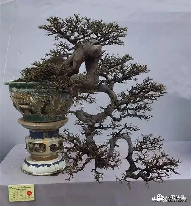 有童谣这样唱——  二月二龙抬头,天子耕地臣赶牛;  正宫娘娘来送饭