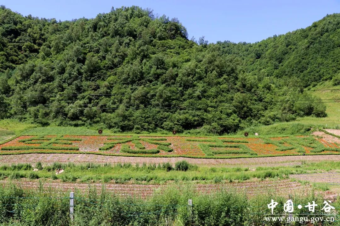 甘肃省有69个村获评国家森林乡村,其中甘谷县古坡镇瓦泉峪村,六峰镇金