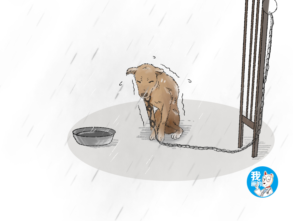 男子去魚塘老板家避雨，看到一隻狗狗蹲在雨幕中，了解後卻心疼了 寵物 第3張