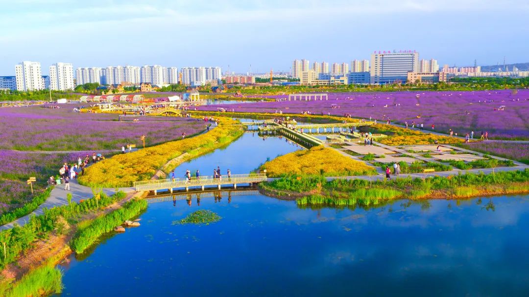 超暖心!金昌景区对全国医务工作者全年门票免费开放,更有打折住宿优惠