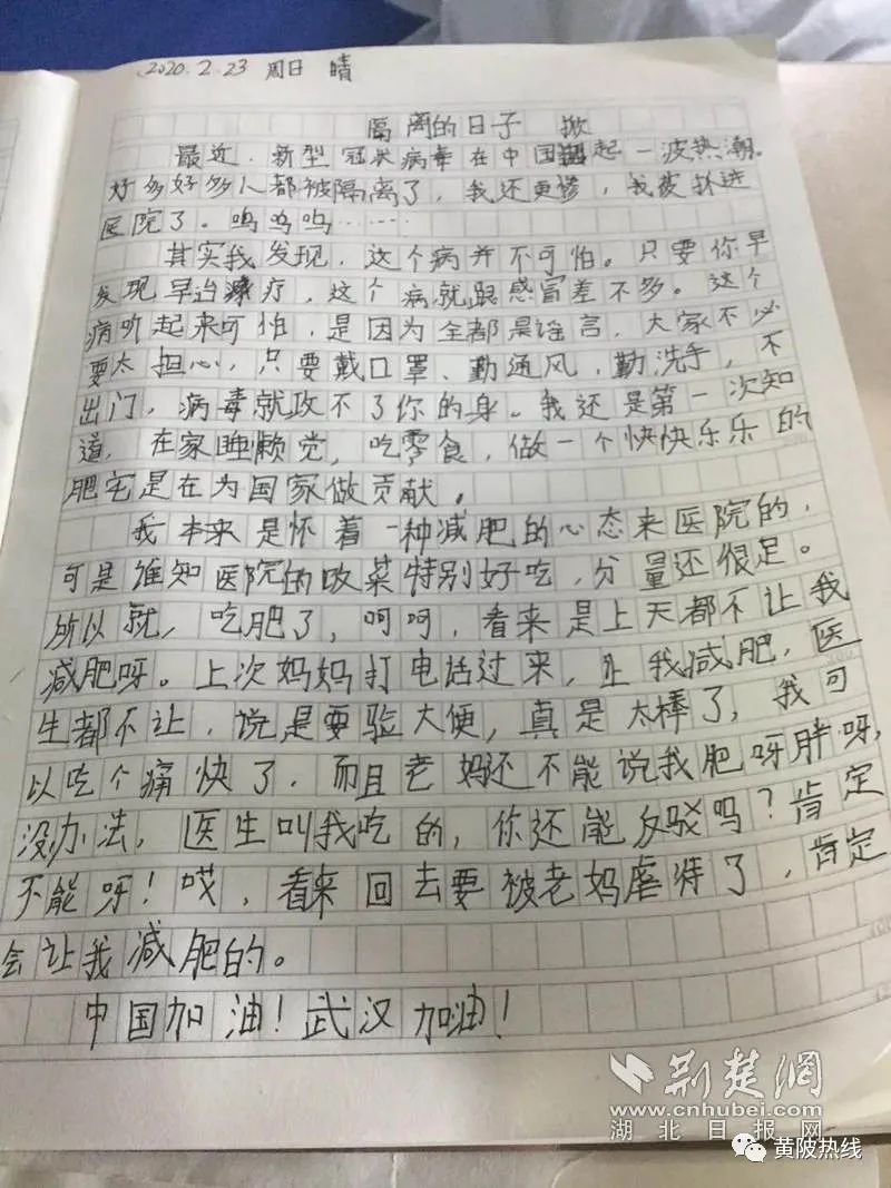 黄陂小学生写"疗毒"日记 乐观勇敢面对疫情