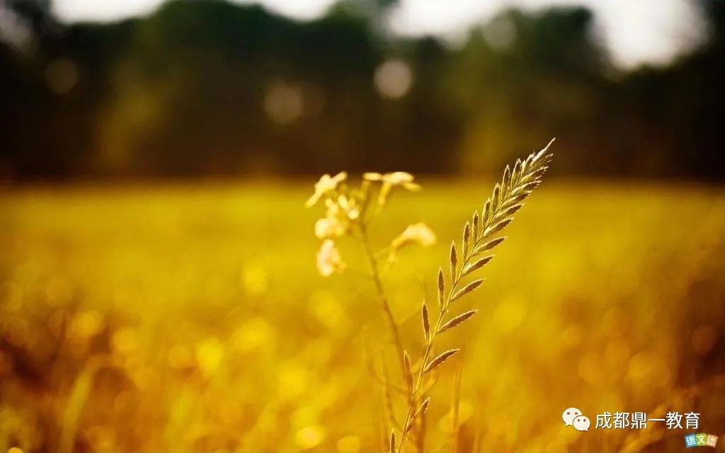 怎样才能让自己内心足够强大 f7fae69dc9ff424d81812c48cbd8213f.jpeg