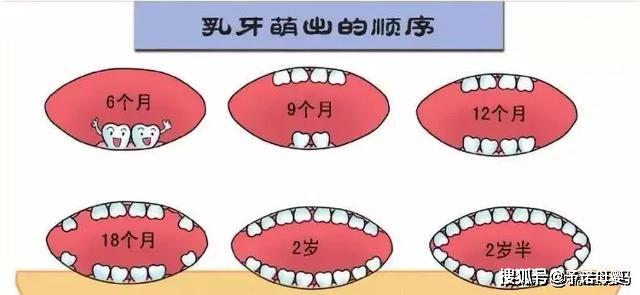 宝宝长牙的顺序，妈妈们了解吗?内付宝宝长牙换牙时间表