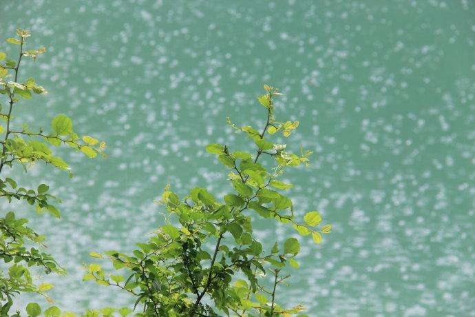 原创农村俗语"春雨贵如油,连下三场天不收,难道春雨不好吗