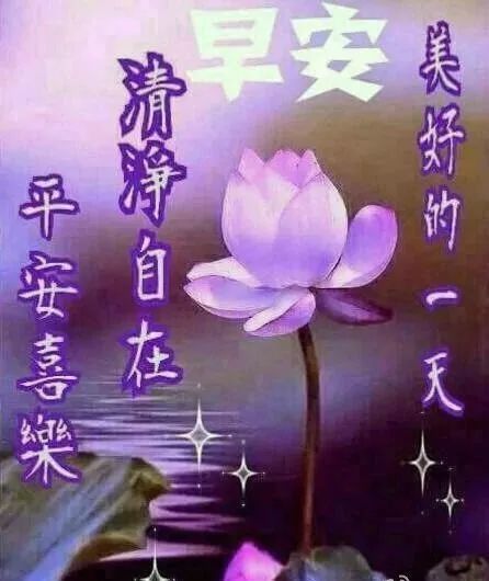 9,让阳光带给你温暖,让月亮带给你温馨;让我的祝福,为你今天带来好运.