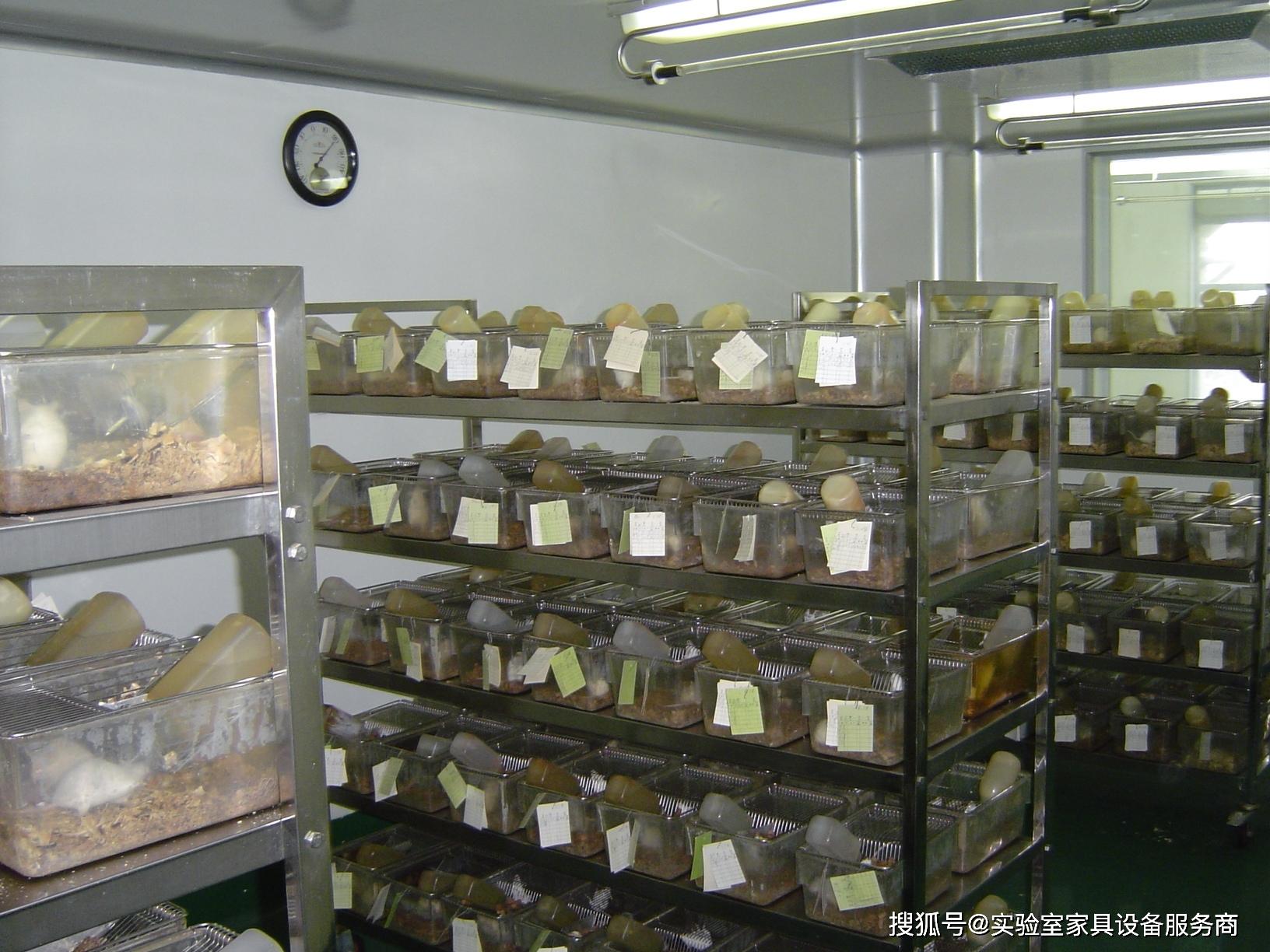 spf级动物实验室建设要求深圳kyeunglab