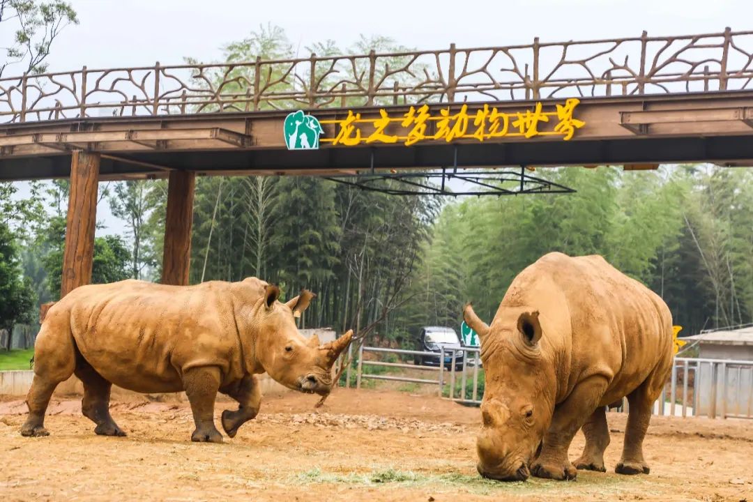 招聘太湖龙之梦乐园动物世界大酒店招聘啦大量岗位职等你来