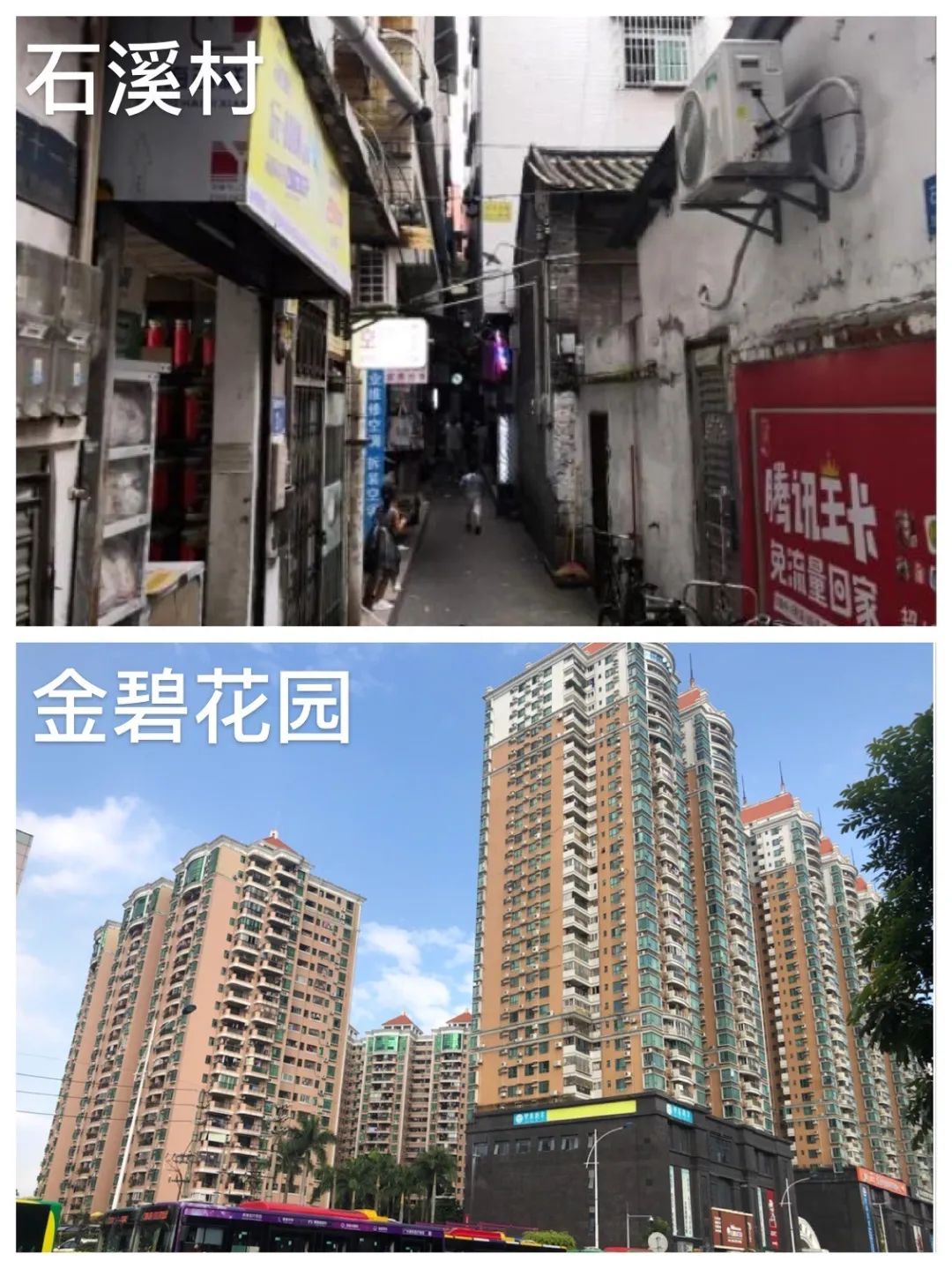 石溪村牌坊前就是城市主干大道新滘西路,沿着新滘西路,广州大道南开车