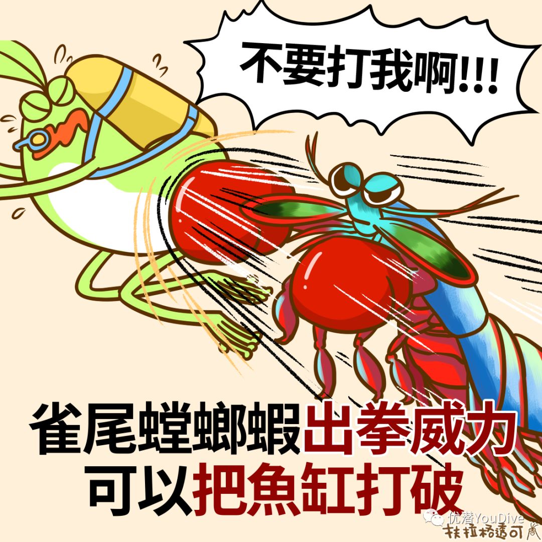 冷知识当别人嫌你屁多你要告诉他屁是有用的