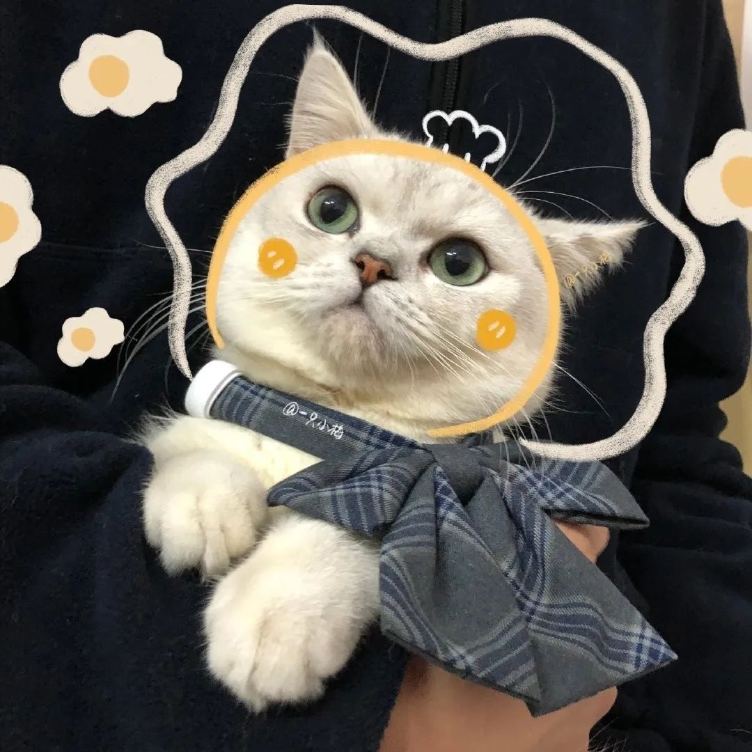 5c0be4c5334d4d79aae1499536f3a8cb.jpeg