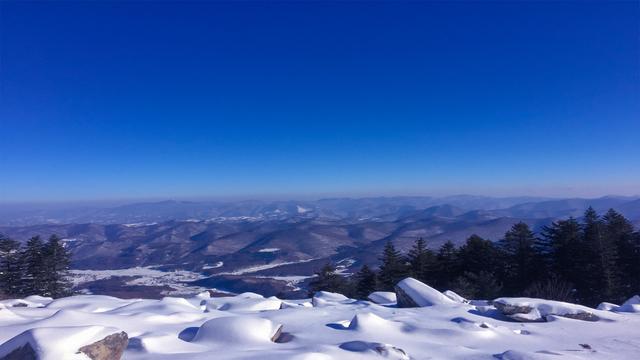 吉林通化快大多少人口_通化快大人参市场