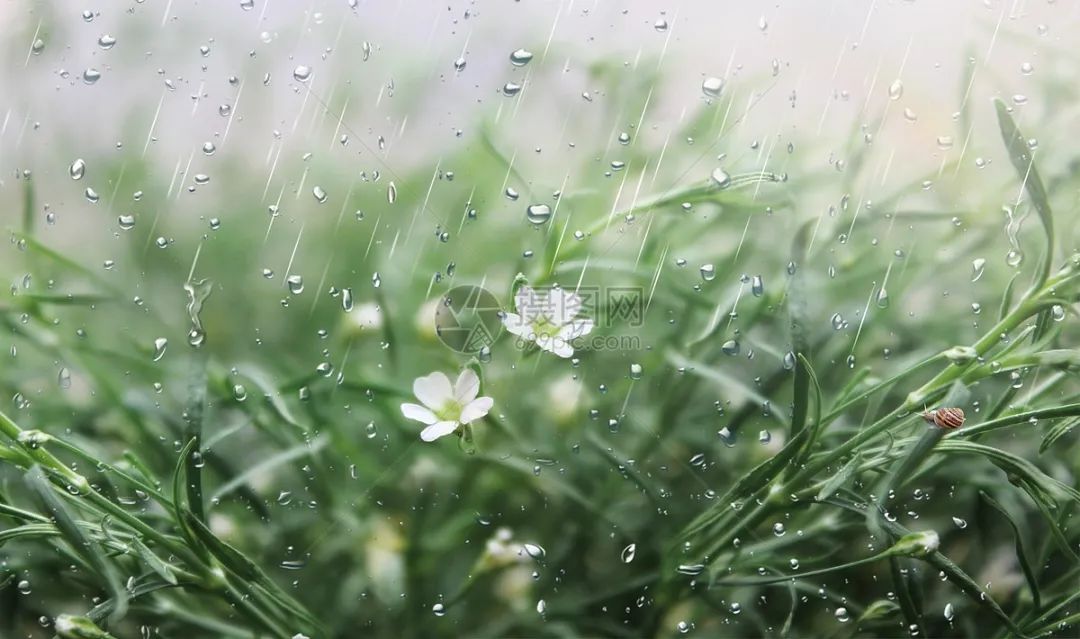 纯音乐 |《微风细雨》,温婉动听,一听钟情