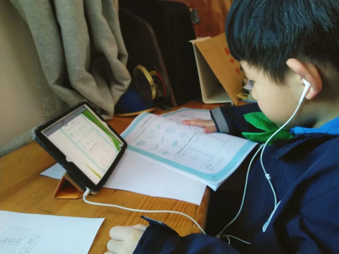 如何拥有智慧的头脑 a137ba8e521b4b4b97f4dd107797e7e9.jpeg