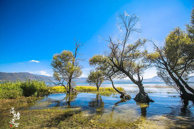 海舌公园，大理洱海边最美的公园，充满原生态