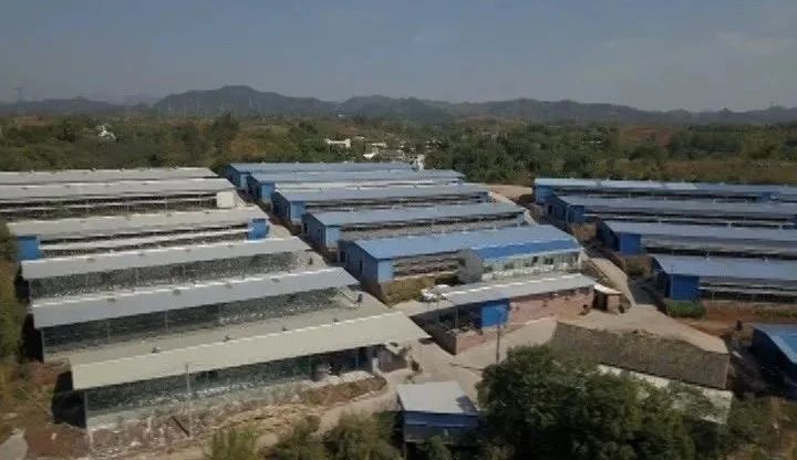 龙田镇gdp_龙田镇地图 龙田镇卫星地图 龙田镇高清航拍地图(2)