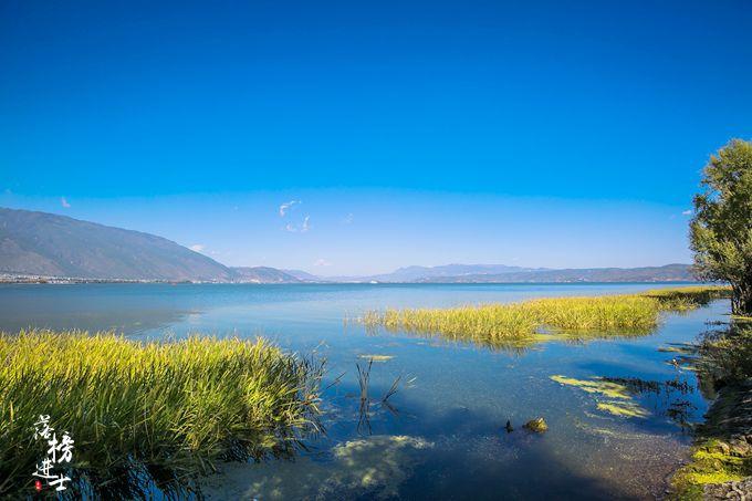 海舌公园，大理洱海边最美的公园，充满原生态