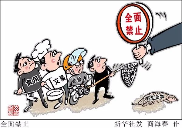 对人口提问用什么_对two提问用什么开头(3)